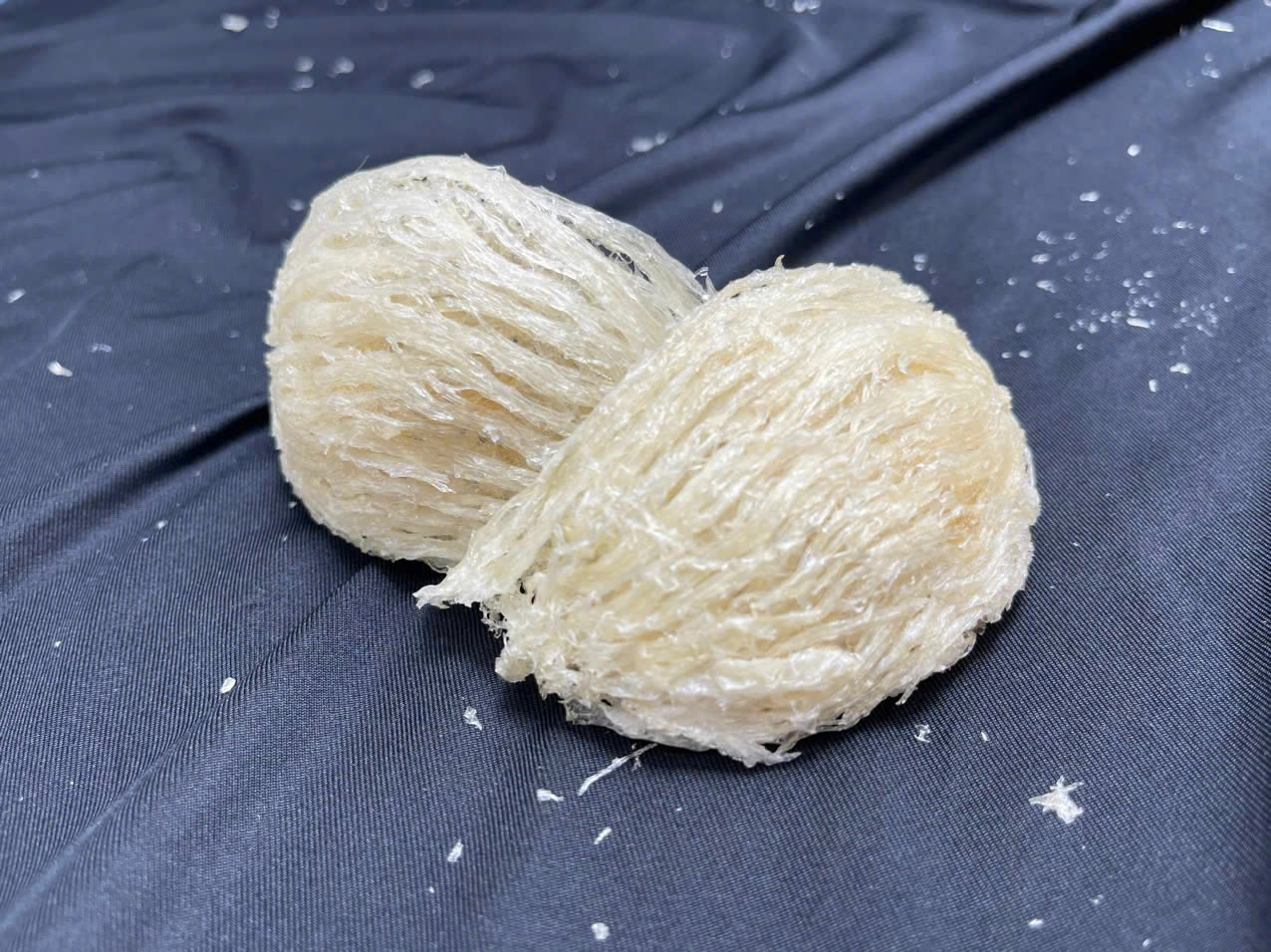 Yến rút lông đắp tổ